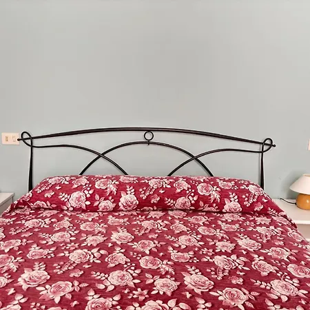 Gardenia 1 -