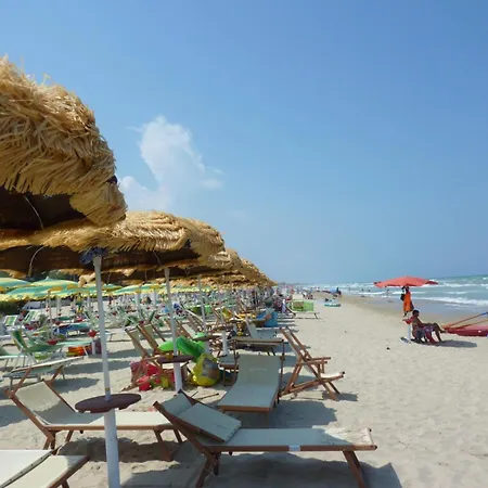 Gardenia 1 - * ピネート